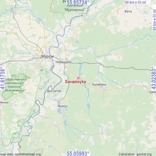 Savasleyka on map